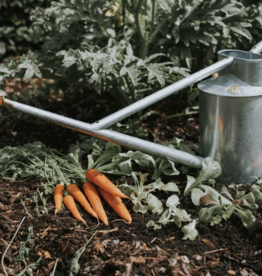 The Warley Fall - One Gallon