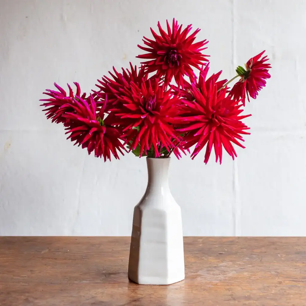 Frances Palmer Cirrus Vase #2