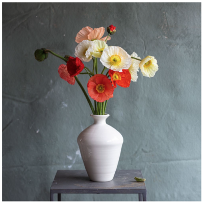 Frances Palmer Cirrus Vase #5