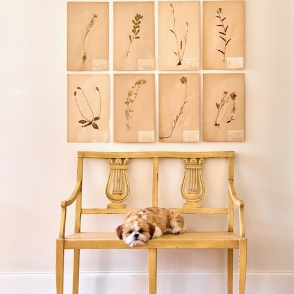 Luca Bench 39"l x 19"d x 35"h - Ochre