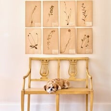 Luca Bench 39"l x 19"d x 35"h - Ochre