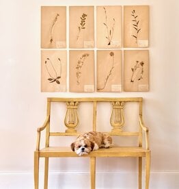 Luca Bench 39"l x 19"d x 35"h - Ochre