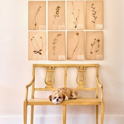 Luca Bench 39"l x 19"d x 35"h - Ochre