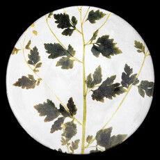 Astier de Villatte Matricaria Medium Plate