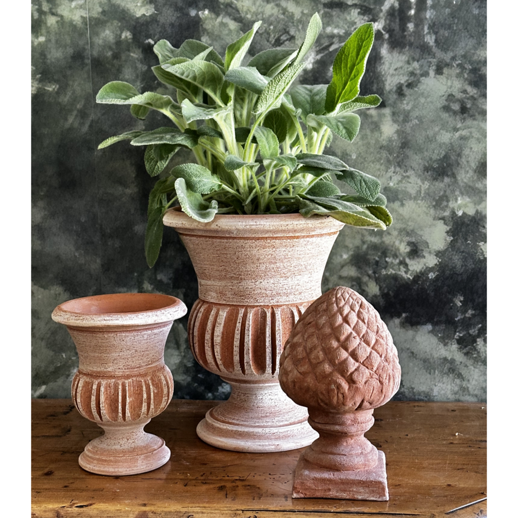 Honeychurch Empire Cup -