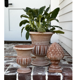 Honeychurch Empire Cup -