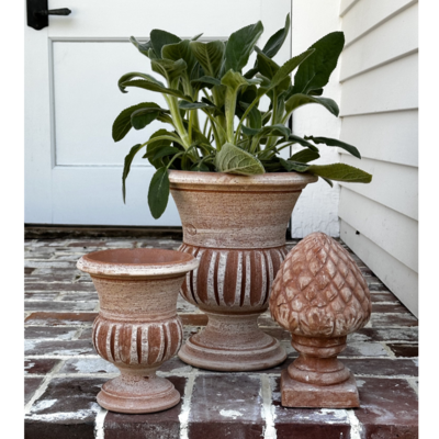 Honeychurch Empire Cup -