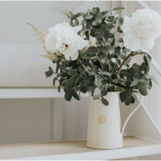 Haws The Classic Jug -