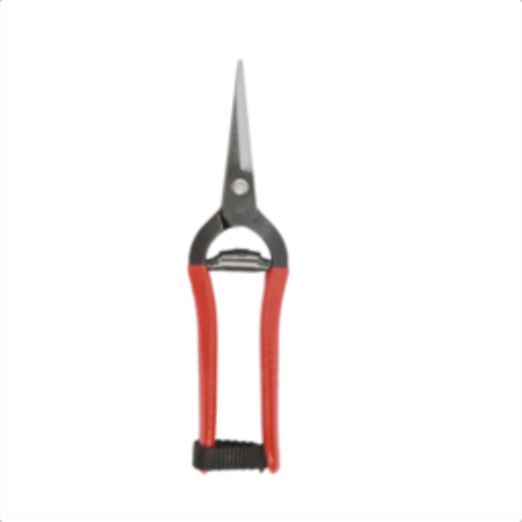 Niwaki Snips - Forged