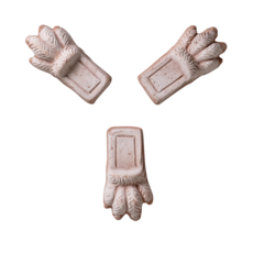 Honeychurch Lion Paw -