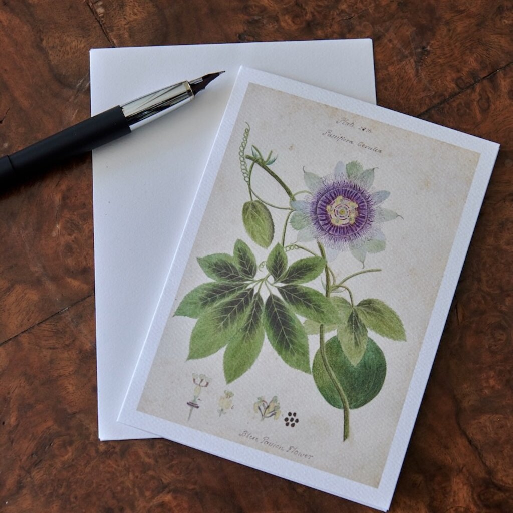 Honeychurch Honeychurch Herbarium Greeting Cards