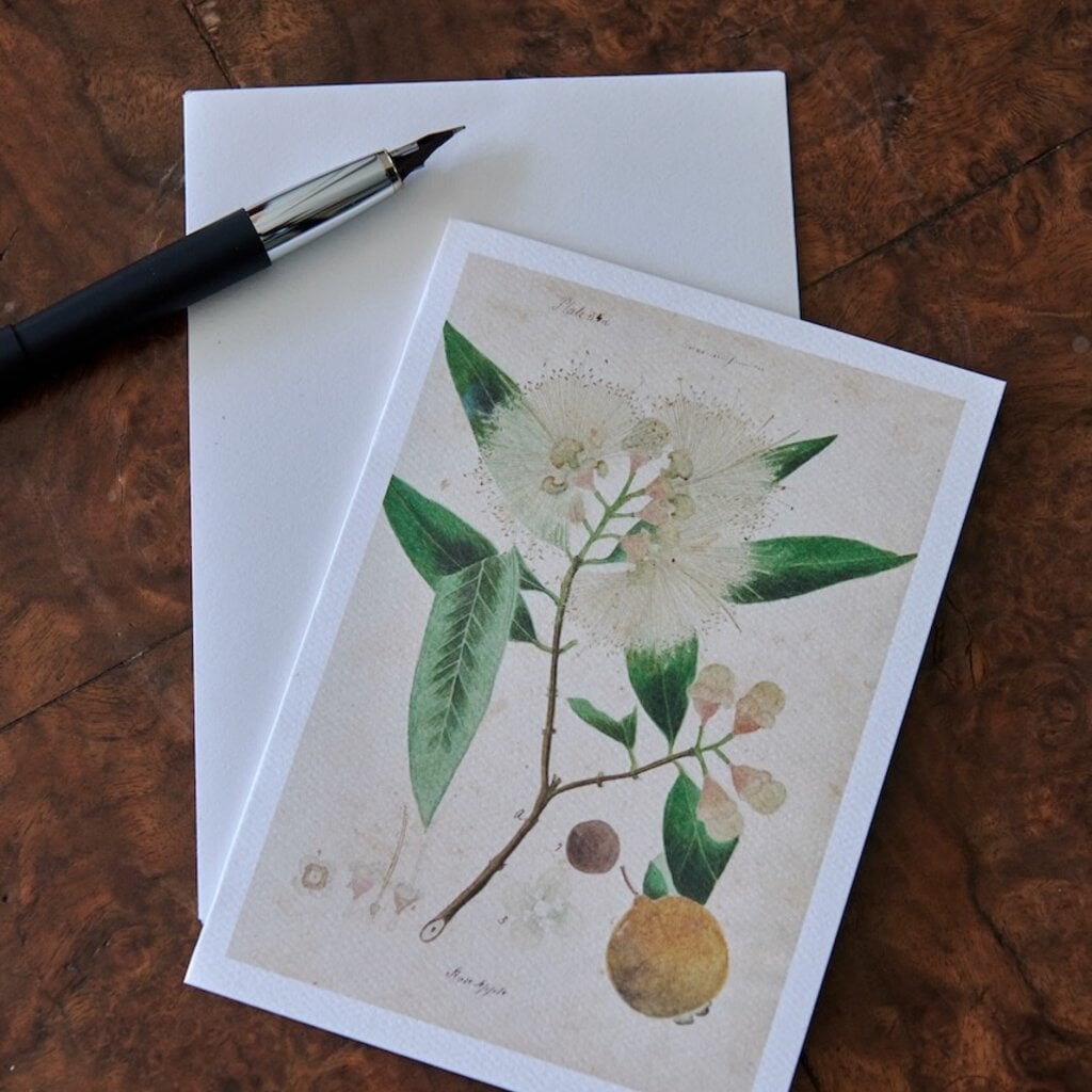 Honeychurch Honeychurch Herbarium Greeting Cards