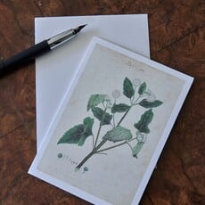 Honeychurch Honeychurch Herbarium Greeting Cards