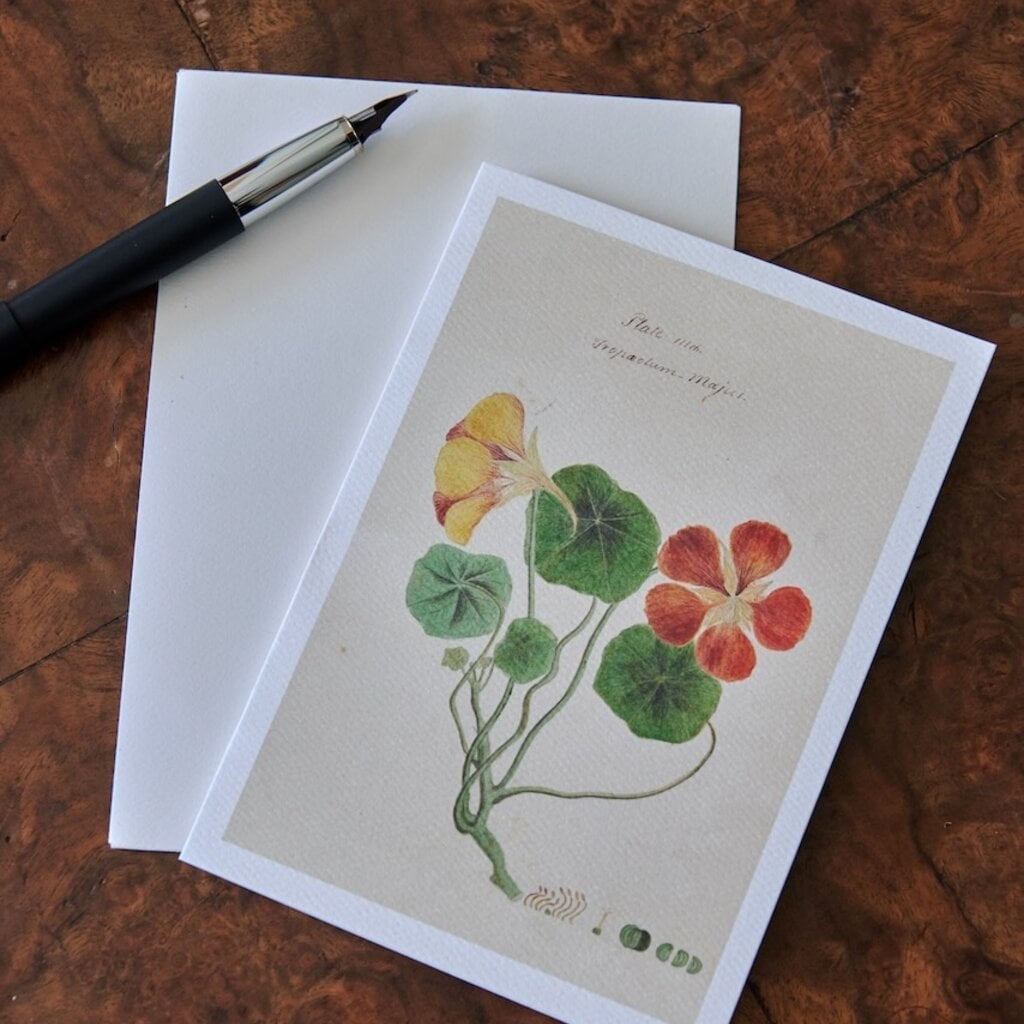 Honeychurch Honeychurch Herbarium Greeting Cards
