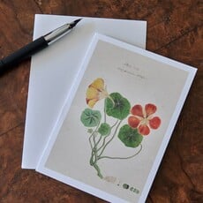 Honeychurch Honeychurch Herbarium Greeting Cards