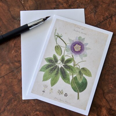 Honeychurch Honeychurch Herbarium Cards