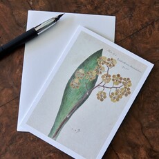 Honeychurch Honeychurch Herbarium Cards