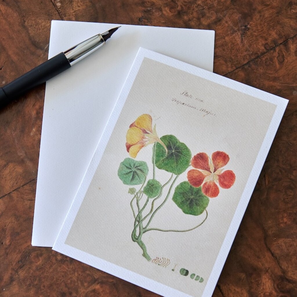 Honeychurch Honeychurch Herbarium Cards