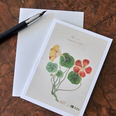 Honeychurch Honeychurch Herbarium Cards