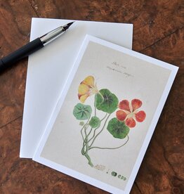Honeychurch Honeychurch Herbarium Cards