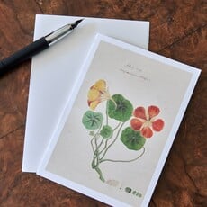 Herbarium Cards Boxed Set - The Founding Six