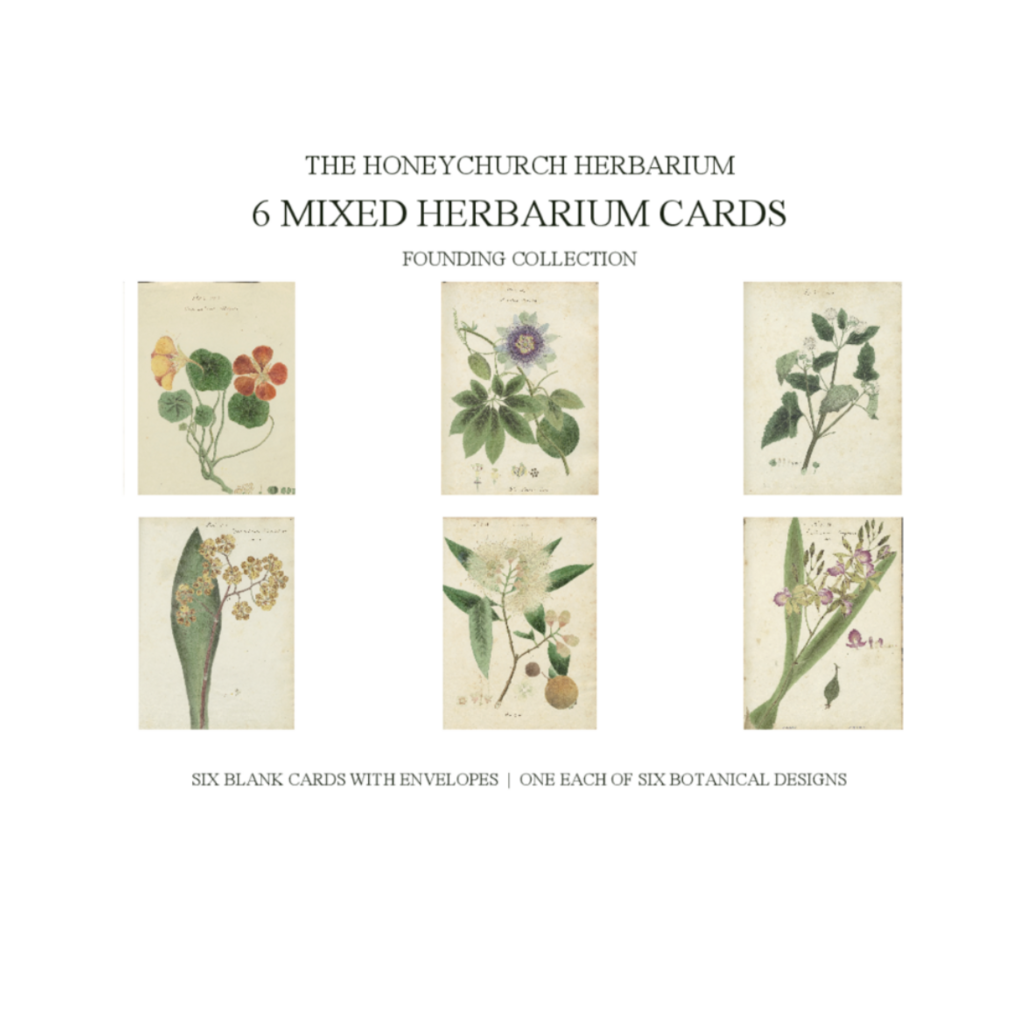 Herbarium Cards Boxed Set - The Founding Six