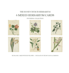 Herbarium Cards Boxed Set - The Founding Six