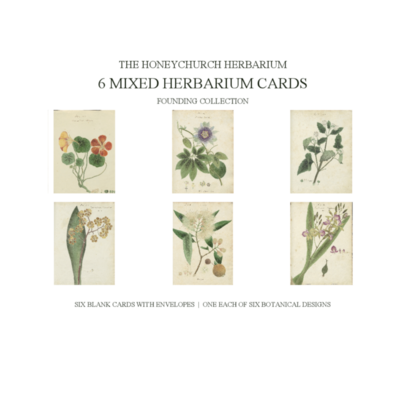 Herbarium Cards Boxed Set - The Founding Six