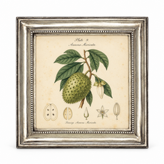Toscana Picture Frame