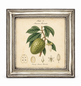 Toscana Picture Frame