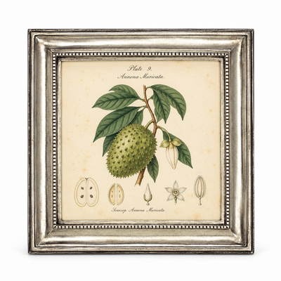 Toscana Picture Frame