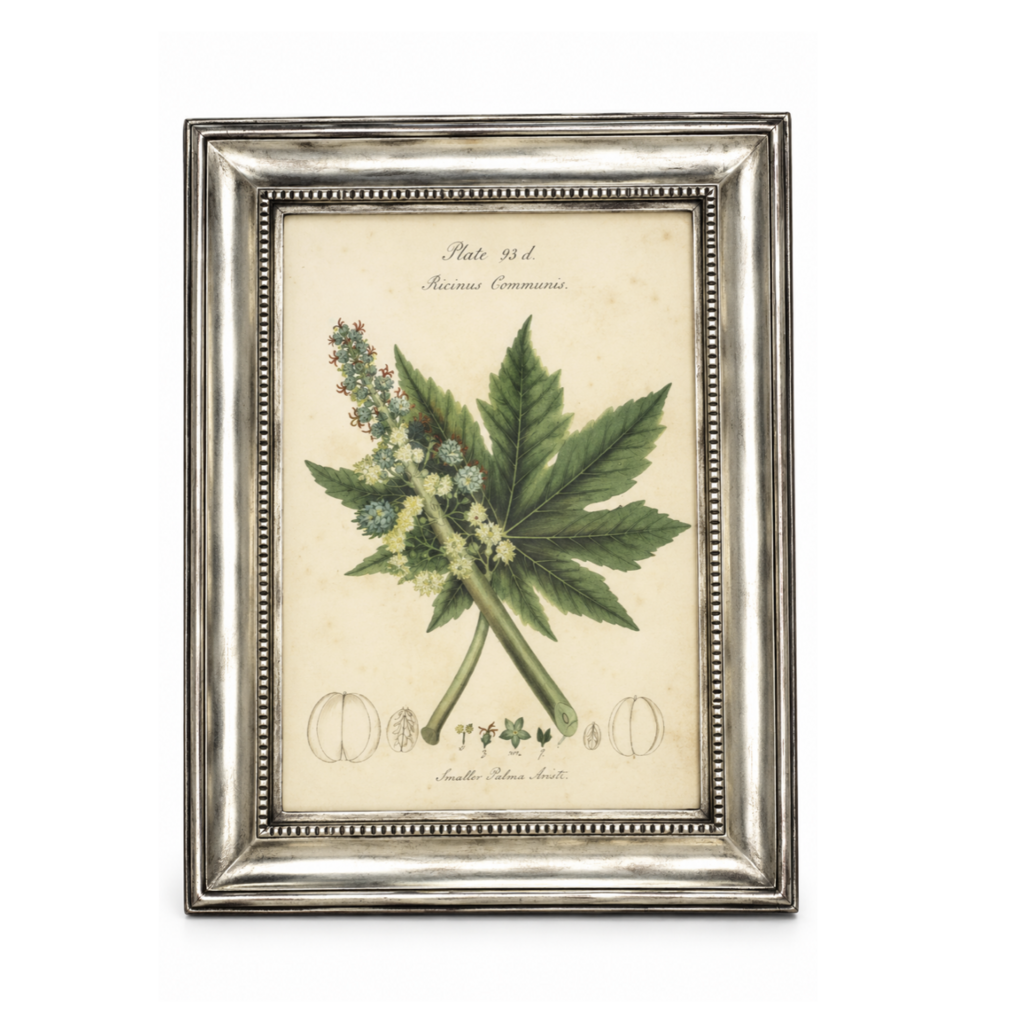 Toscana Picture Frame