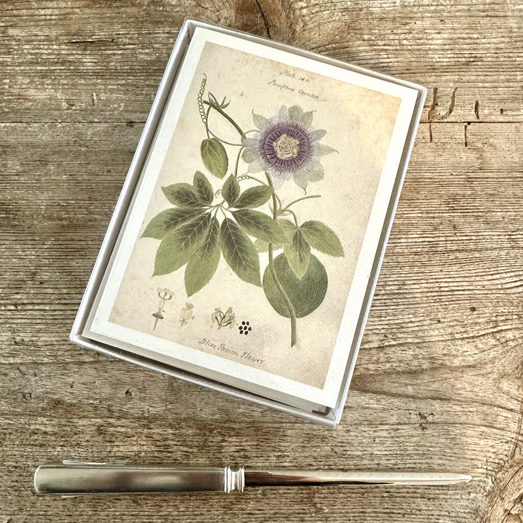 Herbarium Cards Boxed Set - The Founding Six