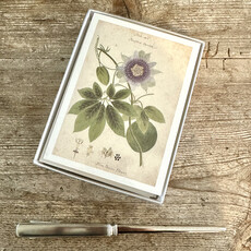 Herbarium Cards Boxed Set - The Founding Six