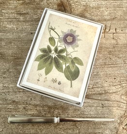 Herbarium Cards - The Founding Six