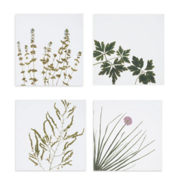 Summerill & Bishop  Herb Napkin -