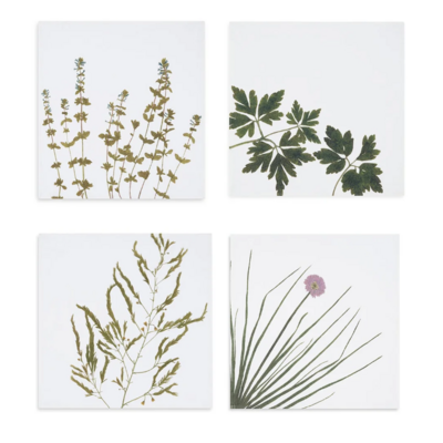 Summerill & Bishop  Herb Napkin -