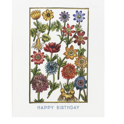 Garden Anemone Birthday Card