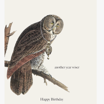 Another Year Wiser