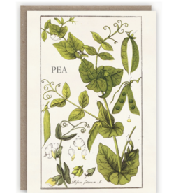 Pea Plant Card