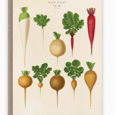 Radishes Card