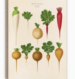 Radishes Card