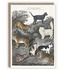 Cats Card