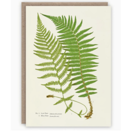 Ferns Card