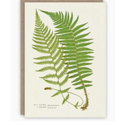 Ferns Card