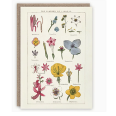 Classes of Linnaeus Greeting Card