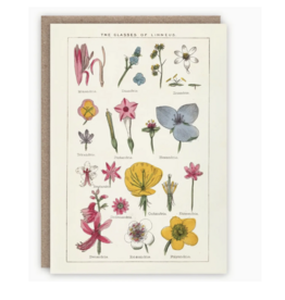 Classes of Linnaeus Greeting Card