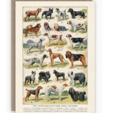 Dog Breeds Card