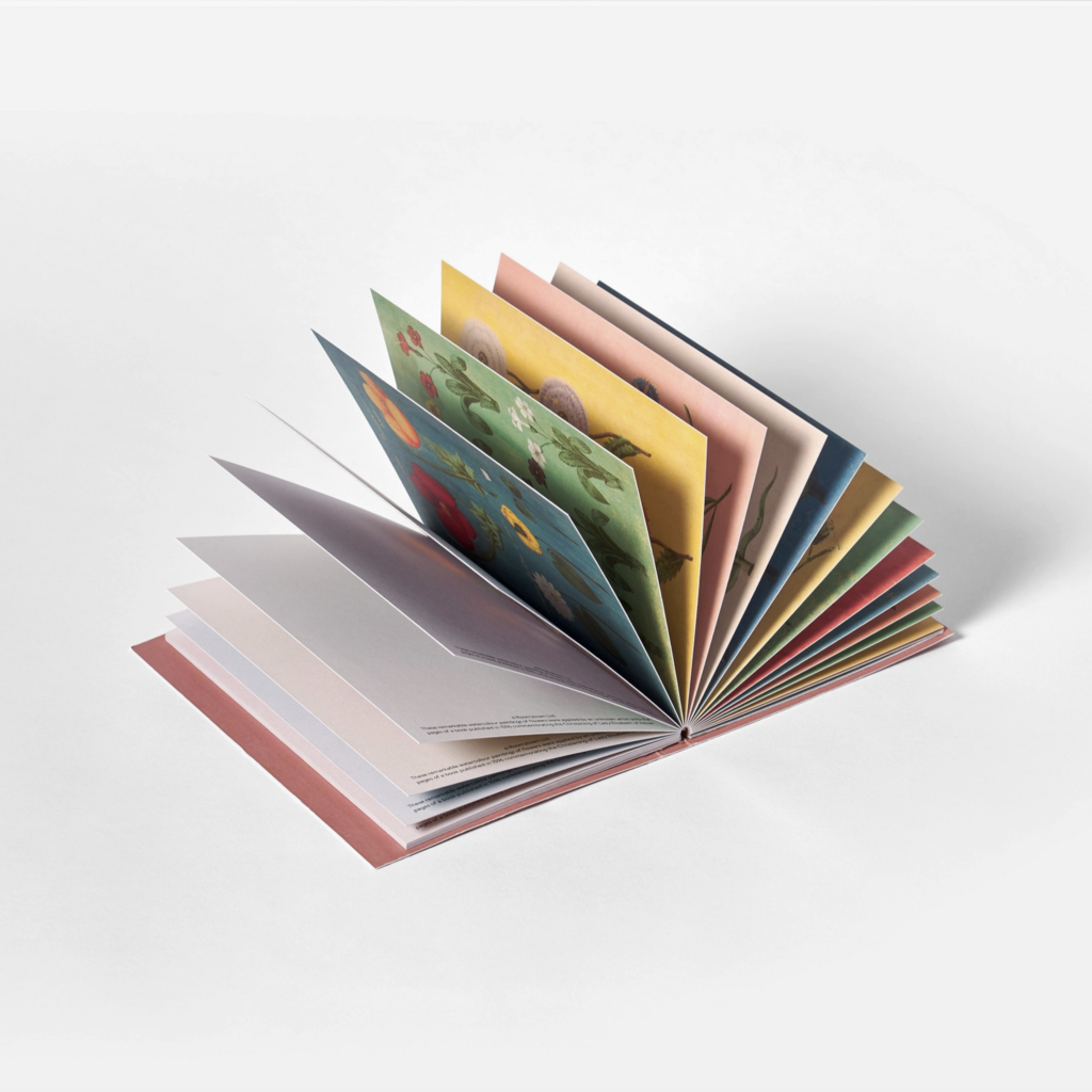 Postcard Book - Festival of Flowers