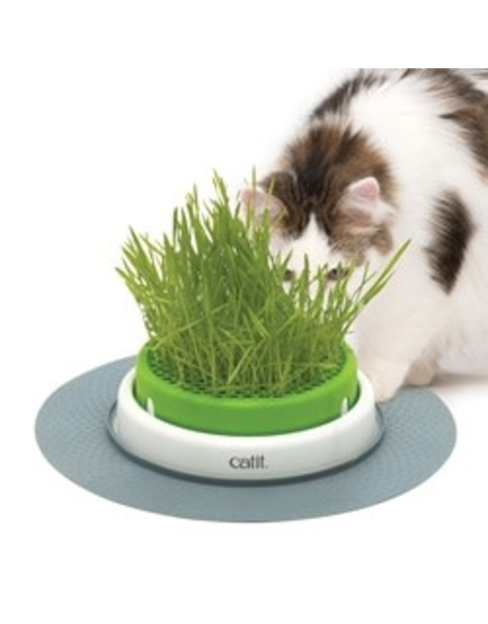 catit grass kit